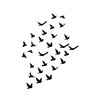 © Zargony click's  - Group of birds flying across the sky, symbolizing freedom, unity, peace, movement, migration, and natural beauty.
