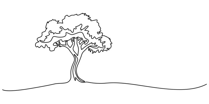 Continuous line drawing of tree on white background. Vector illustration, Continuous line drawing of a tree. Nature one line art. Vector illustration, trees for decorating gardens, park, forest. pro. 