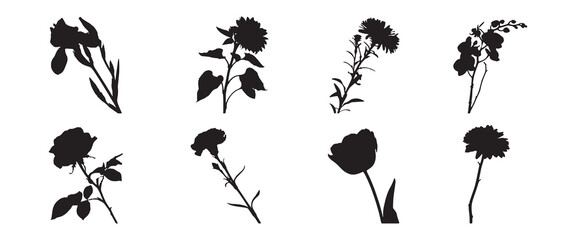 set collection of flowers silhouettes on white background.