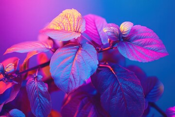 Poster - Colorful leaves illuminated with vibrant blue and purple lighting in a creative display