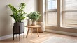 © Jack - A single ZZ plant on a black steel planter stand in a private office suite, sunlight streaming at an angle through venetian blinds creating sharp shadows
