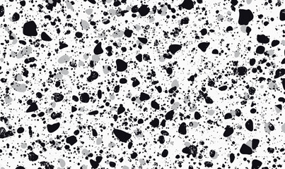 Poster - Monochrome Gravel Texture with Gradient Halftone Overlay for Minimalistic Designs
