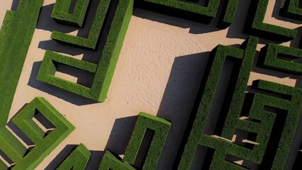 Poster - Intricate Maze Overview with Simple Green Design Elements