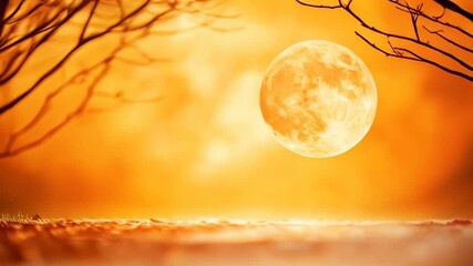 Poster - Majestic full moon rising over serene landscape during vibrant sunset