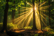 © artiq - Sunlight streams through the green trees in the misty morning forest, creating sunbeams on the woodland path