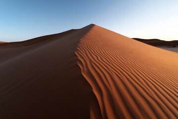 Poster - Close up view of a sand dune textured with wind patterns under a clear blue sky. The warm sunlight casts shadows enhancing the relief and creating a dramatic desert landscape scene