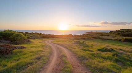 Poster - Scenic coastal landscape featuring a dirt road leading toward a bright sunset over the ocean. Lush green grass and rocky terrain frame the path under a clear sky. The sun casts warm golden light