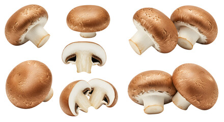 Fresh brown mushrooms displayed on a white background, showcasing their natural textures and shapes for culinary use