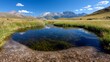 © Darungka - Alpine meadow pond reflecting snow capped peaks