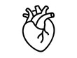 © Print - Anatomical Heart line art vector, Heart icon outline drawing vector illustration