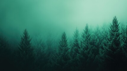 Poster - A bold green gradient background transitioning smoothly from dark pine green to a vibrant shamrock green.