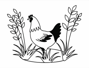 farm hen vector illustration – rural chicken and nature scene