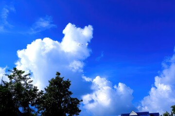cloudscape with trees and blue sky