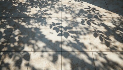 Poster - Nature shadows on pavement urban garden photography outdoor setting ground level view artistic concept
