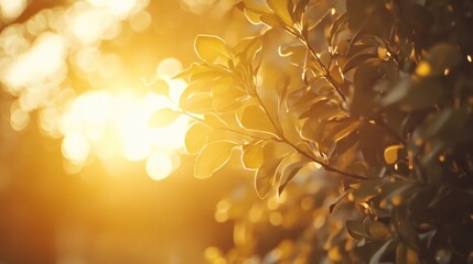 Poster - Golden Sunlight Through Leaves