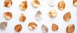 © VIKTAR - A flat lay top view of a pattern texture featuring gold leaves isolated on a white background, serving as a creative banner with copyspace