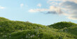 © snesivan - Idyllic Countryside Landscape with Rolling Hills and Wildflowers. 3D render.