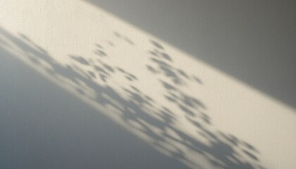 Poster - Shadows of nature play across a white wall indoor space artistic composition minimalist environment abstract viewpoint