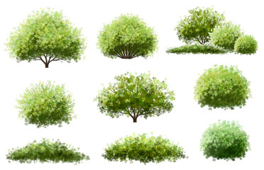 Wall Mural - vector of green tree side view isolated on white background ,watercolor tree elevation for landscape