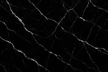Poster - Elegant Veins in the Stone: Close-up of a dark polished surface, graced with delicate, striking veins of contrasting color, a testament to the beauty found in textures. 