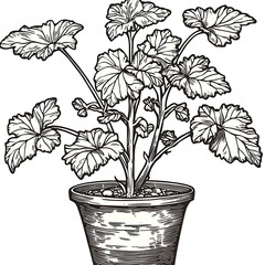 Poster - Black and White Line Drawing of a Potted Plant