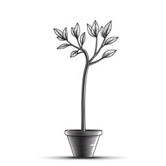 Poster - Grayscale Sketch of a Potted Plant with Simple Leaves