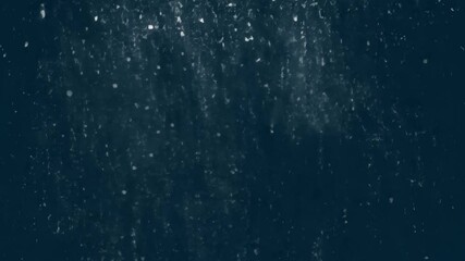 Wall Mural - snow falling in winter animated overlay, transparent 4k video, alpha channel, prores 4444