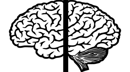 Poster - Human Brain Anatomy Cerebral Lobes and Cerebellum Structure for Medical Education and Neuroscience.