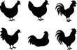 © Prosanto - Black color chicken silhouette, Set of rooster silhouette