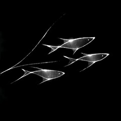 Poster - School of Fish Swimming in Formation Underwater Abstract Illustration Dark Background Symbolic Motion