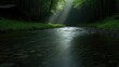 © KUTIL KURO - Sunlight streams through a tranquil forest stream.  A secluded, mossy bank with a small cabin in the background