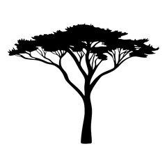 silhouette of a classic african acacia tree against a white background