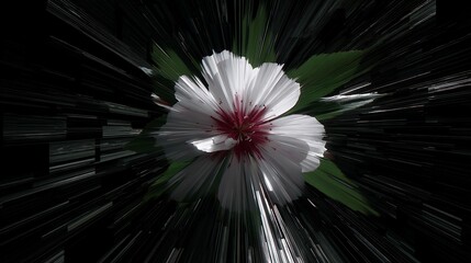 Poster - white blossom radiating outwards a symphony of light and shadow floral elegance in digital art
