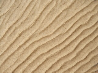 Poster - Wavy patterns on a sandy surface create a natural abstract background