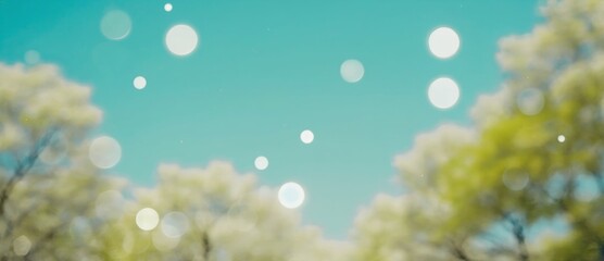 Poster - Bright bokeh effect in a serene nature setting with trees and a blue sky
