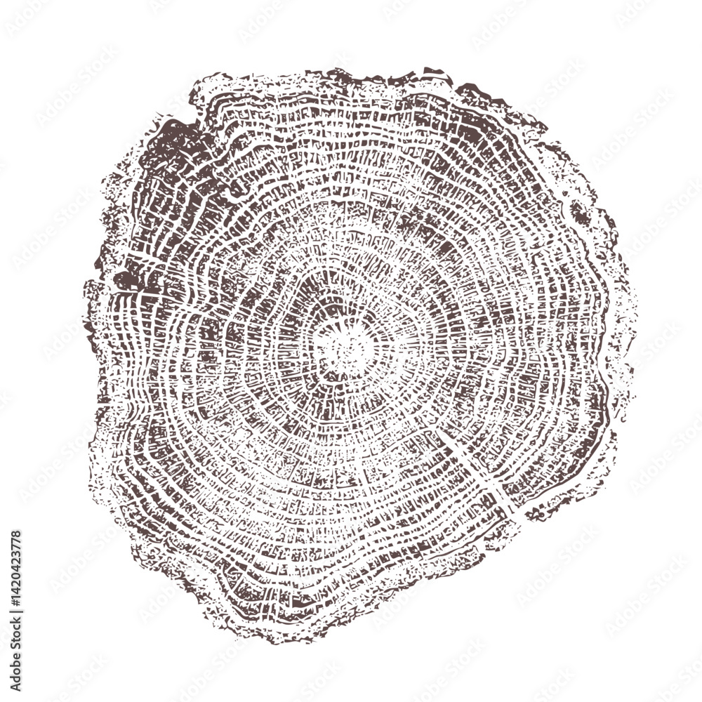 Vector illustration of detailed tree cross section with visible annual ...