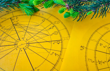 Wall Mural - Printed yellow astrology charts with small fir tree branches in the background