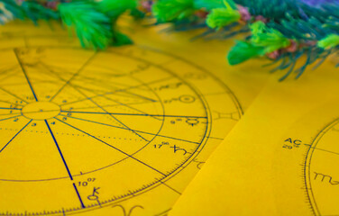 Wall Mural - Printed yellow astrology charts with small fir tree branches in the background