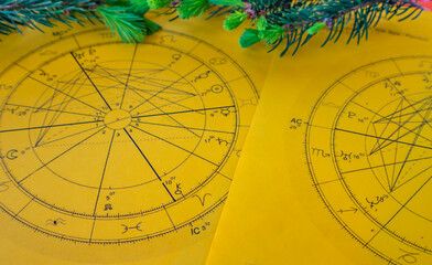 Wall Mural - Printed yellow astrology charts with small fir tree branches in the background