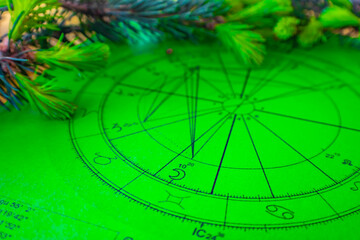 Wall Mural - Close uo of printed green astrology chart with small fir tree branches in the background