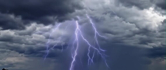 Wall Mural - Anamorphic video Thunderstorm and lightning on the black clouds