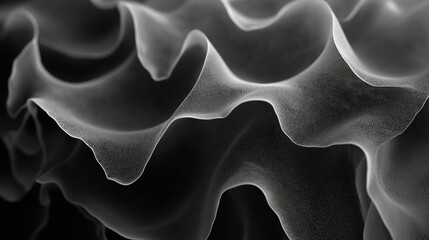 Leinwandbilder - Fluid grayscale forms dance in a mesmerizing abstract ballet of light and shadow.