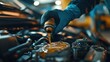 © andi - Oil change in progress.  A gloved hand pours engine oil into a car engine