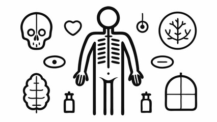 Poster - Editable line icons of human body elements including organ systems, body parts, and anatomy illustrations for health, wellness, and medical education platforms