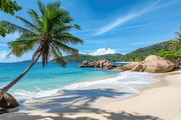  A palm tree swaying in the breeze on a tropical beach