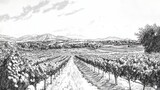 Sketch of a vineyard landscape with distant mountains and cloudy sky in monochrome style drawing art