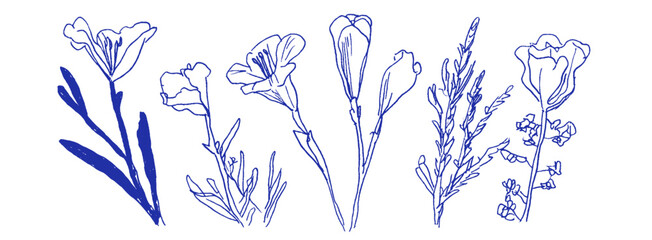 Poster - Elegant linear doodles of Mediterranean flowers in crayon and chalk create a whimsical coquette design