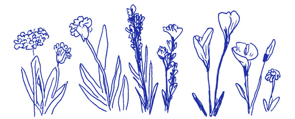 Poster - Whimsical linear doodles of Mediterranean flowers in crayon and chalk captured in vibrant detail