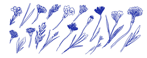 Poster - Whimsical Mediterranean doodles featuring various flower sketches in linear style with a coquette charm