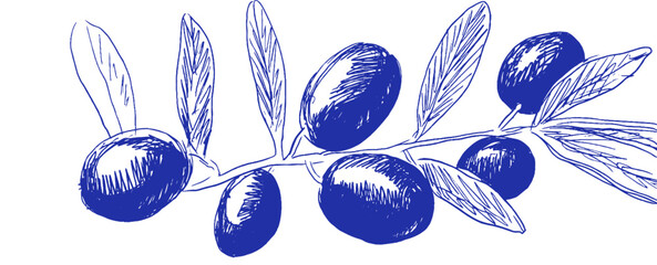 Poster - Artistic olive branch doodle showcasing whimsical Mediterranean elements in vibrant blue crayon and chalk style
